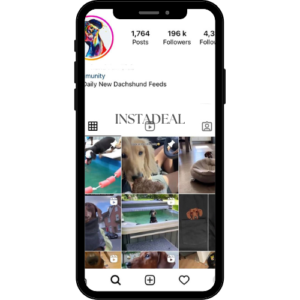 buy instagram account duchshund (196k followers)