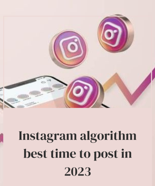 instagram algorithm 2023 best time to post