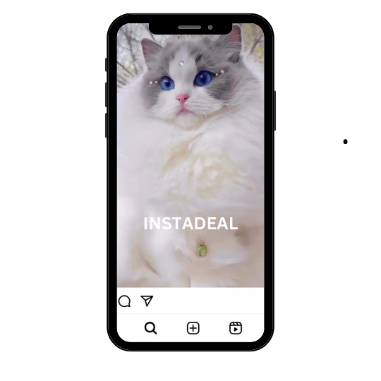 buy instagram account cats (68k followers)