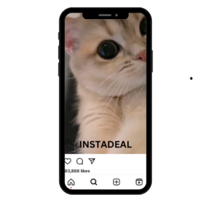buy instagram account kittens. (54k followers)