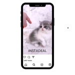 buy instagram account kittens (23k followers)