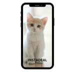 buy instagram account cats (93k followers)