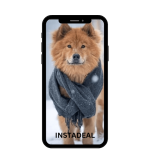 buy instagram account dog (1.6k followers)