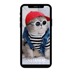 buy instagram account cats (2k follower)
