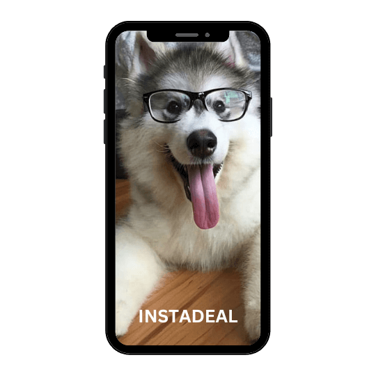 buy instagram account dog_ (2k followers)