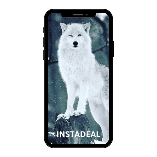 buy instagram account wolf (145k followers)