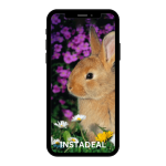 buy instagram account animals (56k followers)