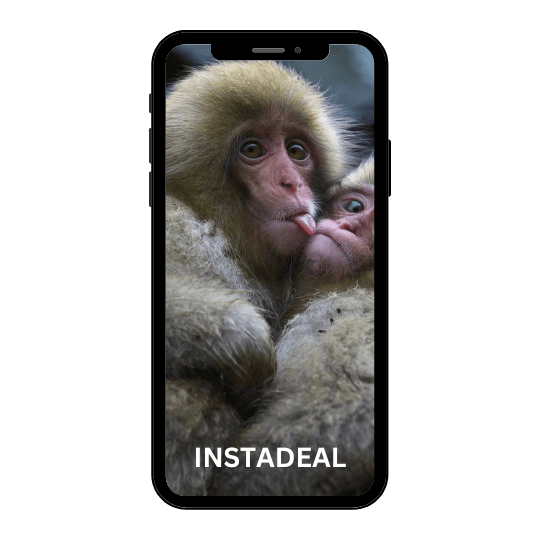 buy instagram account monkey (82k followers)