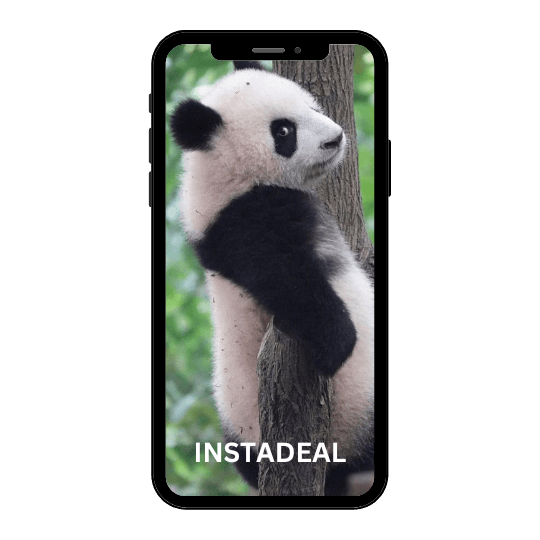 buy instagram account panda (145k followers)