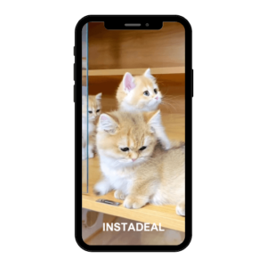 buy instagram account kitty (455k followers)