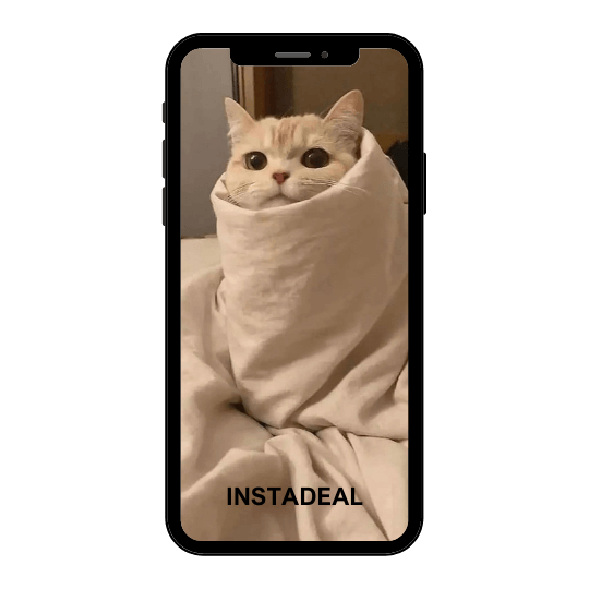 buy instagram account Cats (4k followers)