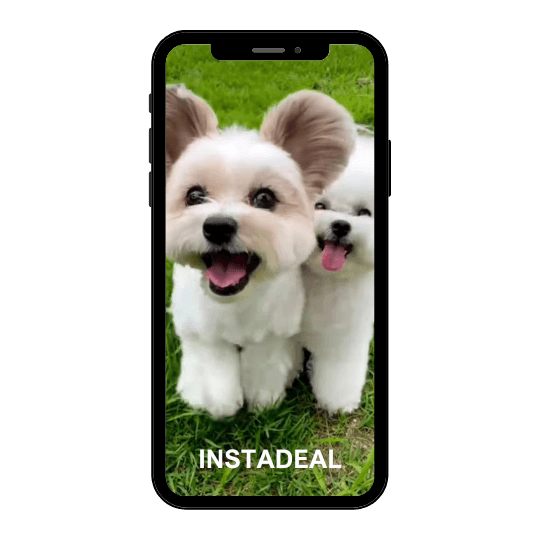 buy instagram account pets (3.3k followers)