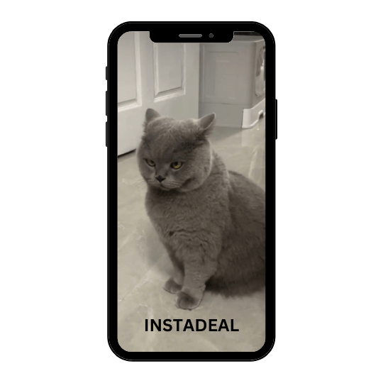 buy instagram account catt (67k followers)