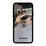 buy instagram account raccoon (29k followers)