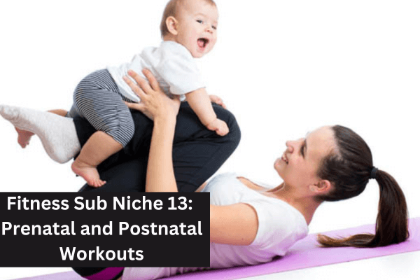 Fitness Sub Niche 13 Prenatal and Postnatal Workouts