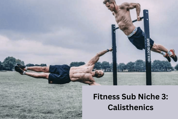 Fitness Sub Niche For Instagram 3 Calisthenics