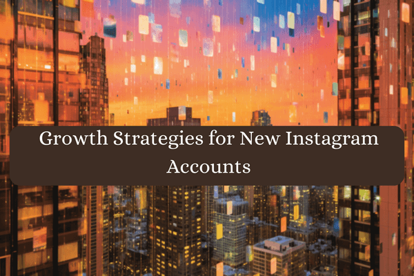 What To Do After You Buy An Instagram Account-Growth strategies for new Instagram accounts
