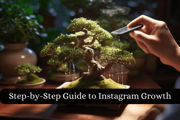 How To Easily Grow Your Instagram Account-Step-by-Step Guide to Instagram Growth