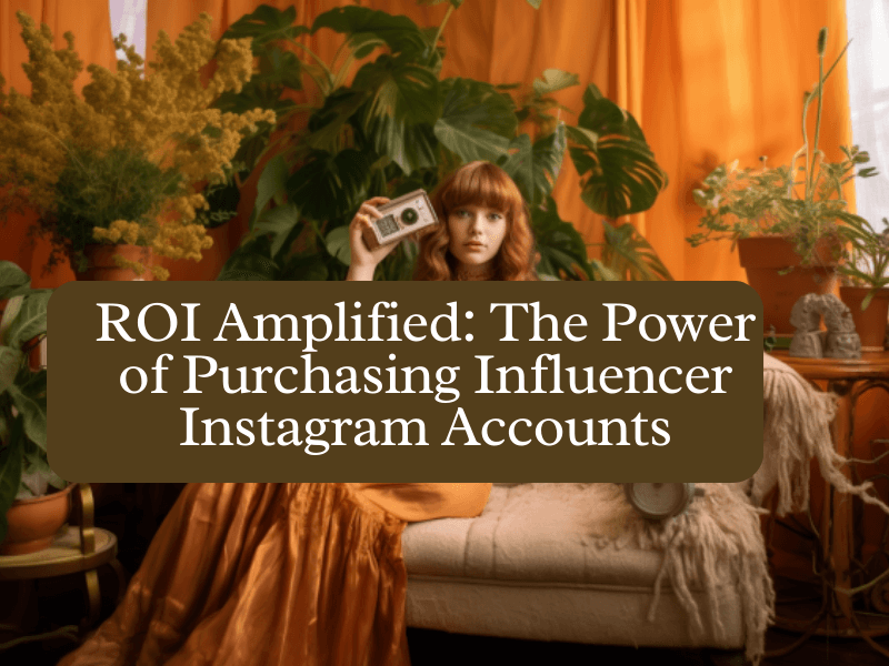 Purchasing Influencer Instagram Accounts