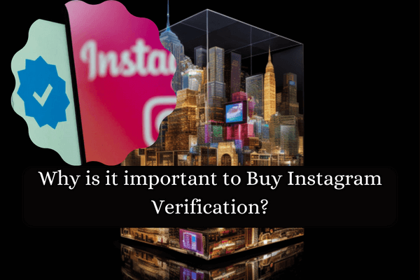 why Buying Verified Instagram Accounts-credibility