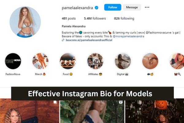 Easy Growth Hacks For Instagram Models-Effective Instagram Bio for Models
