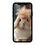 buy instagram account bunny (21k followers)