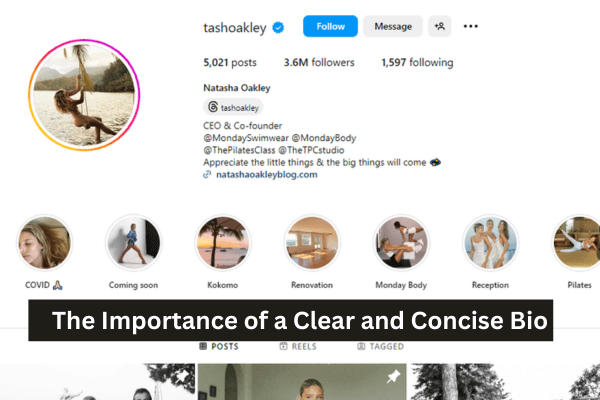 Easy Growth Hacks For Instagram Models-The Importance of a Clear and Concise Bio