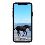 buy instagram account horse (123k followers)