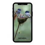 buy instagram account bird (1k followers)