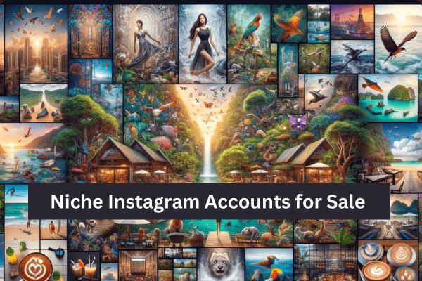 Niche Instagram Accounts for Sale