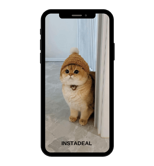 buy instagram account kitty (374k followers)