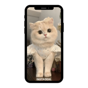 buy instagram account miwos (160k followers)