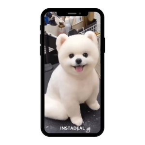 buy instagram account pet (220k followers)