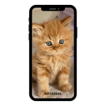 buy instagram account kitte (24k followers)