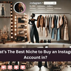 What’s The Best Niche to Buy an Instagram Account in