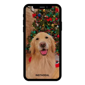 buy Instagram account dogs (140k followers)