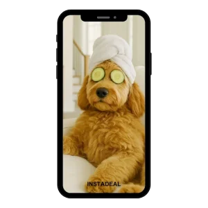 buy instagram account paw (1k followers)