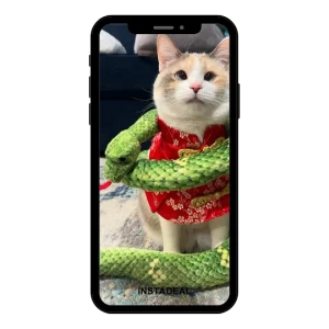 buy Instagram account yoo (72k followers)