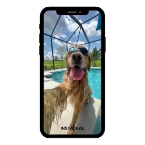 buy Instagram account dogs (47k followers)