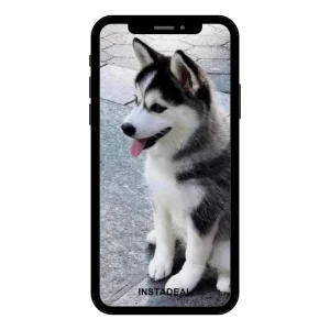 buy Instagram account mia (8k followers)