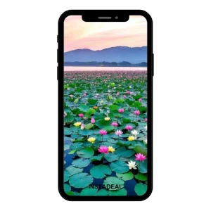 buy Instagram account ele (1.9k followers)