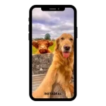 buy Instagram account simply (151k followers)