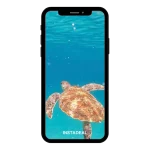 buy instagram account sea (98k followers)