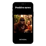 buy Instagram account squat (50k followers)