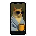 buy Instagram account meme (155k followers)