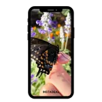 buy Instagram account shelby (11k followers)