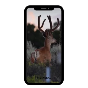 buy Instagram account hunting (21k followers)