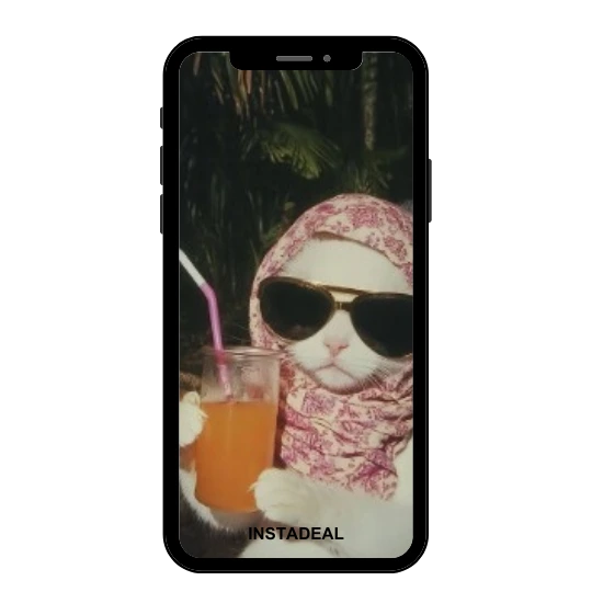 buy Instagram account discipline (179k followers) buy Instagram account discipline (179k followers)