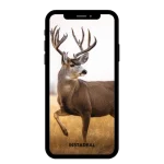 buy Instagram Account muley (16k followers)