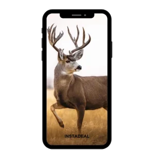 buy Instagram Account muley (16k followers)